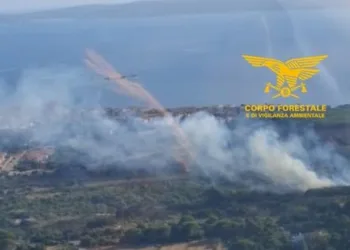 Incendi a Serramanna, Serdiana e Portoscuso