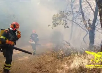 Teti: incendio in località Masolo Prano