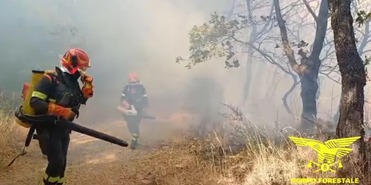 Teti: incendio in località Masolo Prano