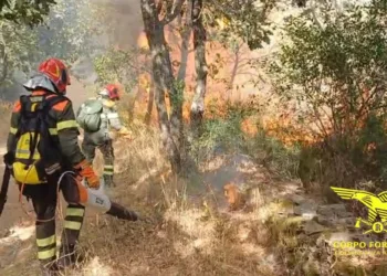 Incendio a Bono, in località Pedra Tunda