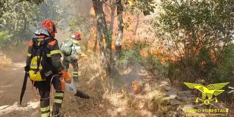 Incendio a Bono, in località Pedra Tunda