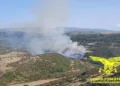 Ieri incendi a Cabras, Bosa e Villamar