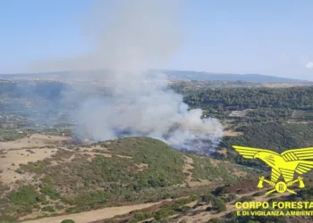 Ieri incendi a Cabras, Bosa e Villamar