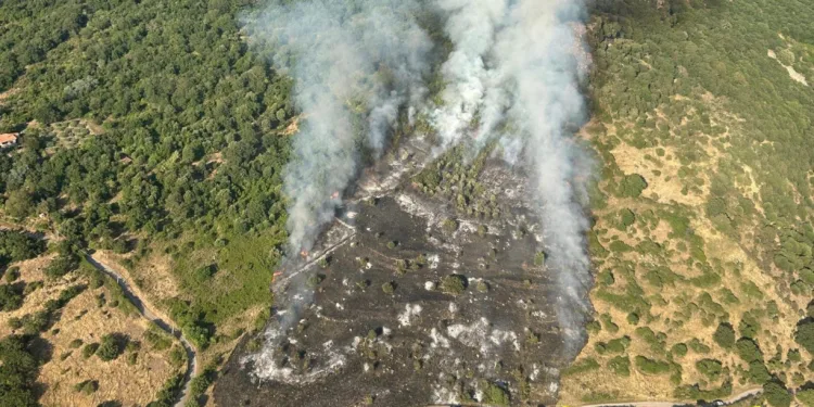Incendio nelle campagne di Bonorva