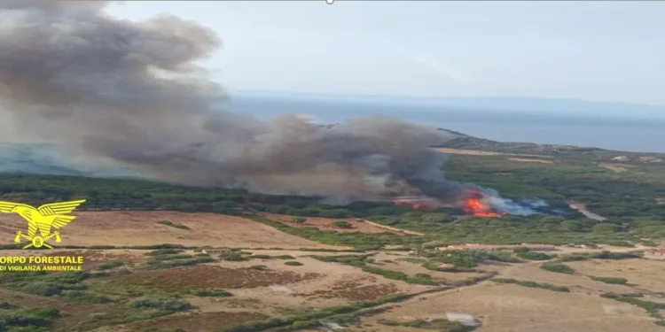 Incendio ad Aglientu, intervengono i Canadair