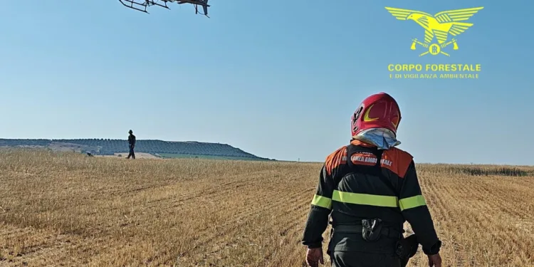 Florinas: incendio in località “Nuraghe sa Figu”