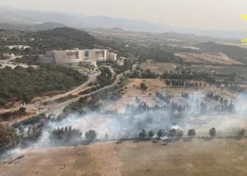 Incendi a Oniferi, Serramanna e Olbia