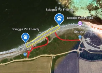 Stintino, la svolta green e inclusiva: nascono le spiagge “pet friendly” a Punta d’Elici e Pazzona