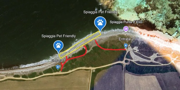 Stintino, la svolta green e inclusiva: nascono le spiagge “pet friendly” a Punta d’Elici e Pazzona