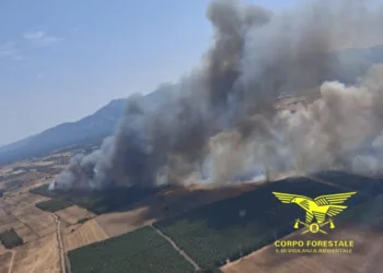Incendi a Escalaplano, Cabras, Uras, San Gavino Monreale, Olbia, Gonnosfanadiga e Siliqua