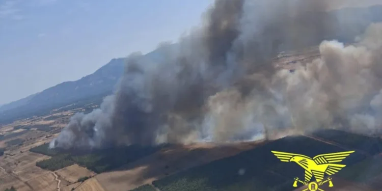Incendi a Escalaplano, Cabras, Uras, San Gavino Monreale, Olbia, Gonnosfanadiga e Siliqua