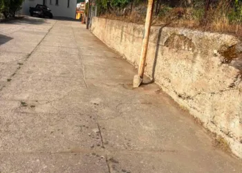 Burgos: al via il cantiere per la valorizzazione del patrimonio boschivo
