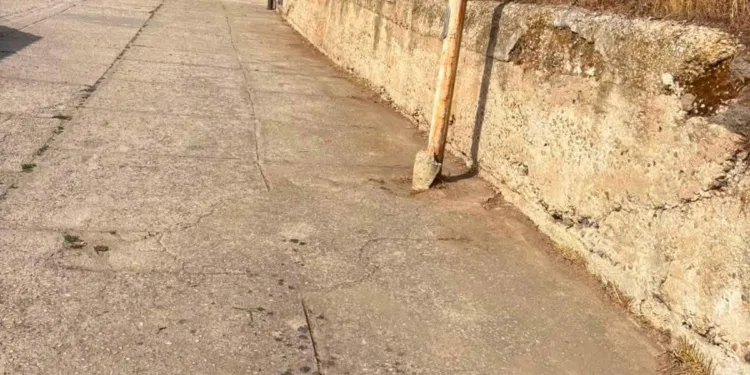 Burgos: al via il cantiere per la valorizzazione del patrimonio boschivo