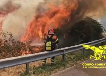 Bottidda: incendio in località “Nuraghe Larattu”
