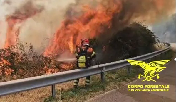Bottidda: incendio in località “Nuraghe Larattu”