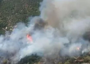 Incendi a Cargeghe, San Vito, Uta, Sinnai e Pozzomaggiore