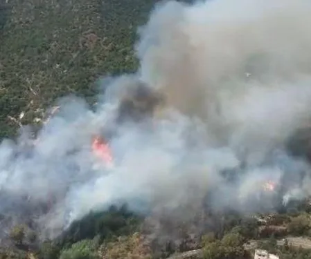 Incendi a Cargeghe, San Vito, Uta, Sinnai e Pozzomaggiore