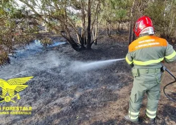 Incendi ad Atzara e Samassi
