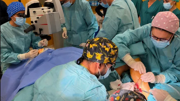 Neurotizzazione e trapianto di cornea, al Policlinico Duilio Casula primo intervento in Sardegna