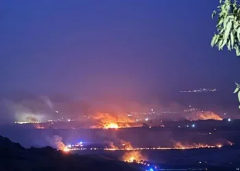 Incendi nel Nuorese e in Ogliastra, l’allarme di Coldiretti