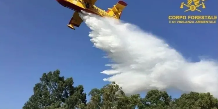Incendi a Olbia, Calangianus e Villagrande Strisaili