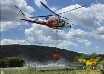 Incendio nelle campagne di Ortueri
