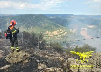 Incendi a Orune, Arzachena e Samassi