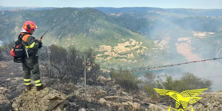 Incendi a Orune, Arzachena e Samassi