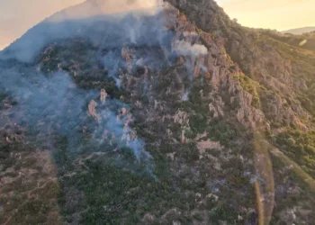 Incendi a Loceri e Oliena