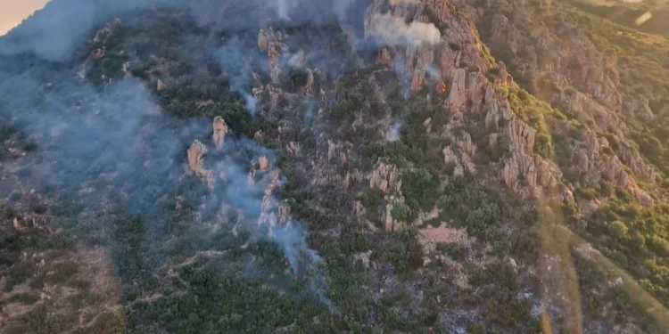 Incendi a Loceri e Oliena