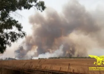 Incendio nelle campagne di Villasor, interviene anche un Canadair