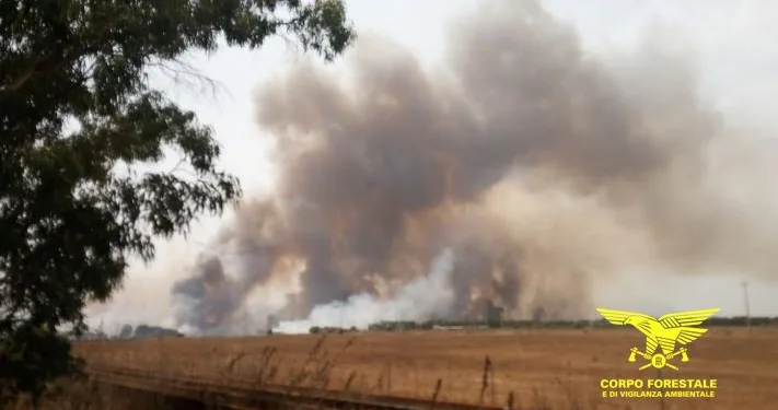 Incendio nelle campagne di Villasor, interviene anche un Canadair
