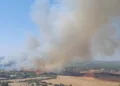 Alghero: incendio in località Filibertu