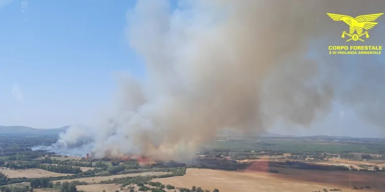 Alghero: incendio in località Filibertu