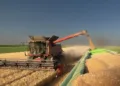 Ciclone Harry: da oggi 10 luglio al via sul portale Agea/Sian la manifestazione di interesse per i danni alle strutture aziendali agricole