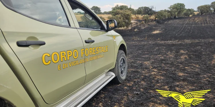 Il Corpo forestale impegnato nel primo mese di emergenze estive