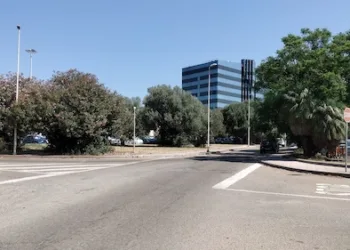 Non sarebbe opportuno intervenire sulla vegetazione che costeggia l’ingresso del Centro Commerciale di Santa Gilla, a Cagliari?