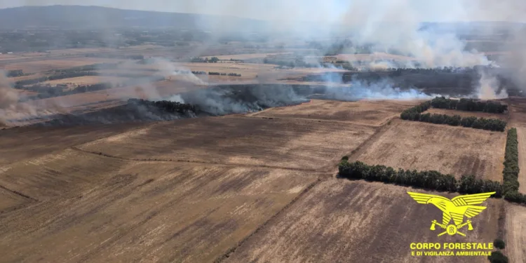 Da fine mattinata il Corpo forestale sta intervenendo su un incendio in agro del comune di Guspini, con tre elicotteri e un Canadair