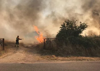 Ambiente: Campagna AIB 2026, nella media i dati a metà stagione, ma la vera emergenza resta la mano dell’uomo.