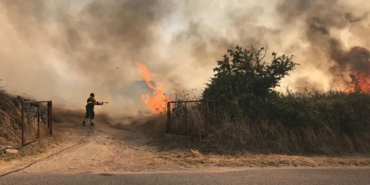 Ambiente: Campagna AIB 2026, nella media i dati a metà stagione, ma la vera emergenza resta la mano dell’uomo.