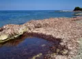 La Giunta approva gli indirizzi per il primo Piano regionale di gestione, tutela delle spiagge, contrasto all’erosione e adattamento ai cambiamenti climatici