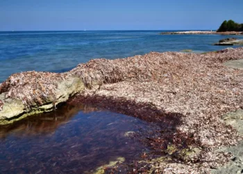 La Giunta approva gli indirizzi per il primo Piano regionale di gestione, tutela delle spiagge, contrasto all’erosione e adattamento ai cambiamenti climatici