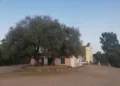 A Illorai, nel santuario campestre di Luche, si rinnova la tradizionale festa in onore della Madonna della Neve