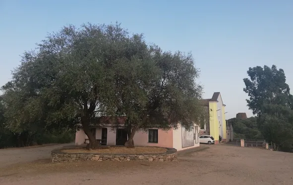 A Illorai, nel santuario campestre di Luche, si rinnova la tradizionale festa in onore della Madonna della Neve