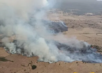 Incendi a Lodè, Siniscola e Senorbì