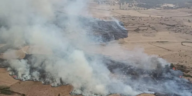 Incendi a Lodè, Siniscola e Senorbì