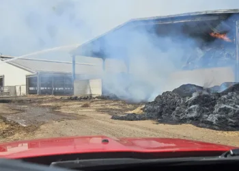 Macomer: a fuoco un fienile in località Cogolatzu