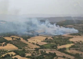 Incendi a Perdaxius e Nuoro