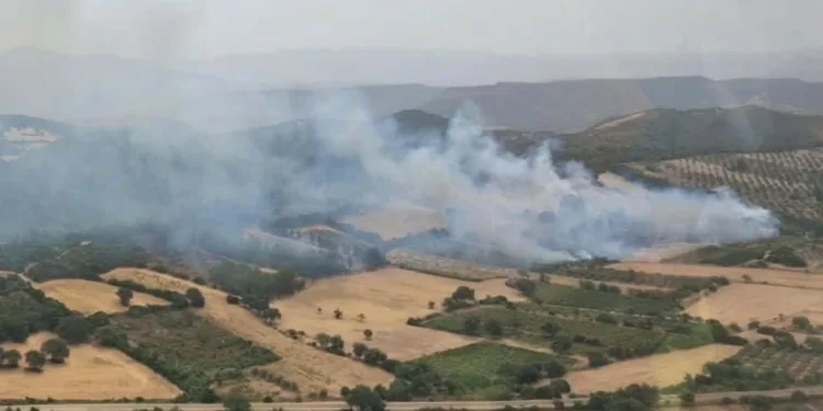 Incendi a Perdaxius e Nuoro