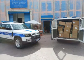Sassari: sequestrati circa 10mila giocattoli contraffatti